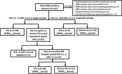 Preemptive Interferon-α Therapy Could Protect Against Relapse and Improve Survival of Acute Myeloid Leukemia Patients After Allogeneic Hematopoietic Stem Cell Transplantation: Long-Term Results of Two Registry Studies